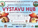 Výstava hub 2017 Výstava hub 2017