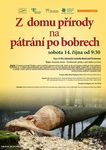 Z odmu přírody na pátrání po bobrech