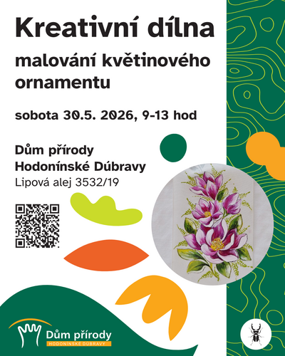 dilna_ornament_2026_IG_FBfeed dilna_ornament_2026_IG_FBfeed