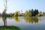 nemeckyrybnik-800x533