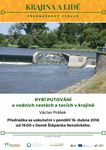 Rybi putovani
