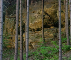 Mezoreliéf Příhrazských skal