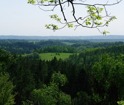 Výhled do krajiny z Hynšty