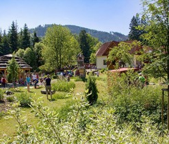 I.ročník festivalu Ze života hmyzu I.ročník festivalu Ze života hmyzu