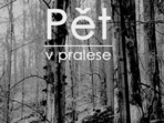 Pět v pralese Pět v pralese