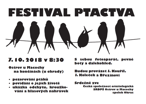 leták - Festival ptactva