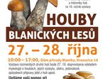 Výstava hub