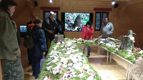 IMG_20171028_155118