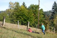 Festival ptactva 2018 (foto Vojtěch Šťastný)