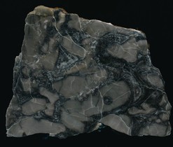 Obrázek3
