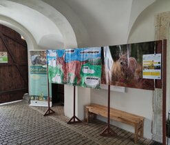 Rysí den 2024