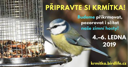 ptačí krmítka