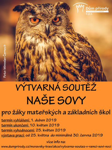 vytvarna_soutez_nase_sovy