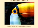 Tváře úmluvy CITES - putovní výstava Tváře úmluvy CITES - putovní výstava
