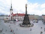 Patří na Horní náměstí v Olomouci stromy? Patří na Horní náměstí v Olomouci stromy?