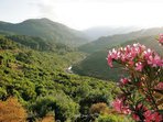 PŘEDNÁŠKA/PROMÍTÁNÍ: Tunisko - příroda a památky / krajina a lidé (Petr Jenč)