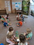 IMG_20190730_085512