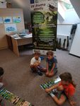 IMG_20190730_085525