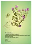 leták medvěd 2019 tisk A5 4_4_page-0002