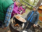 Chestnut washing powder