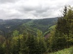 Mionší Virgin Forest Mionší Virgin Forest