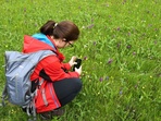 Do mariánskolázeňských parků za mokřadními orchidejemi