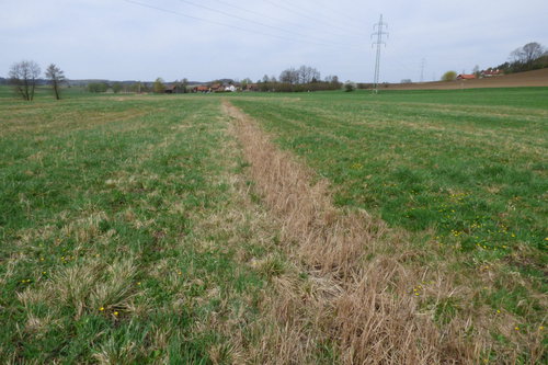 Drobná otevřená drenáž u Zámostí
