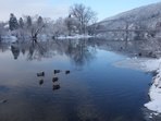 Za zimovišti ptáků na berounce Za zimovišti ptáků na berounce