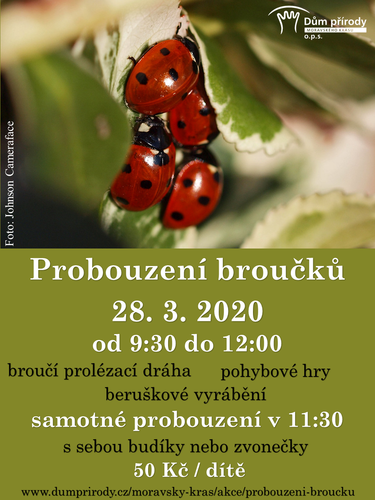 probouzeni_broucku