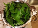 De Luxe Soup of Nettle De Luxe Soup of Nettle