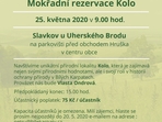 Exkurze - Mokřadní rezervace Kolo