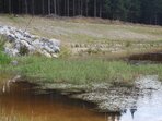 Za vodním světem nejen pod mikroskopem Za vodním světem nejen pod mikroskopem