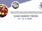 Výstava rané odrůdy třešní 2020