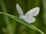 Výtvarná soutěž - NAŠI MOTÝLI Výtvarná soutěž - NAŠI MOTÝLI