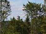 Komentovaná vycházka přírodními rezervacemi k 15. výročí založení CHKO Český les Komentovaná vycházka přírodními rezervacemi k 15. výročí založení CHKO Český les