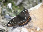 Entomologická exkurze Entomologická exkurze září 2020