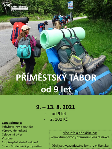 primestak_velosi