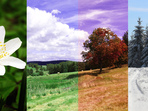 Fotosoutěž 2021 Fotosoutěž 2021