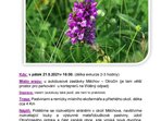Květnatým okolím Měchova Květnatým okolím Měchova