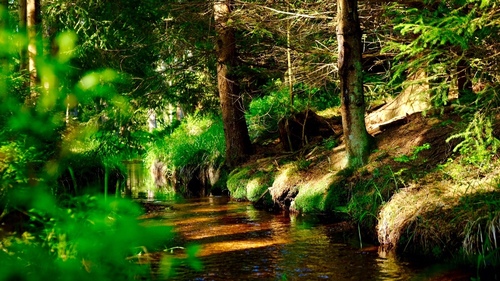 FOTO 5_Dlouhá stoka_Tomáš Sýkora
