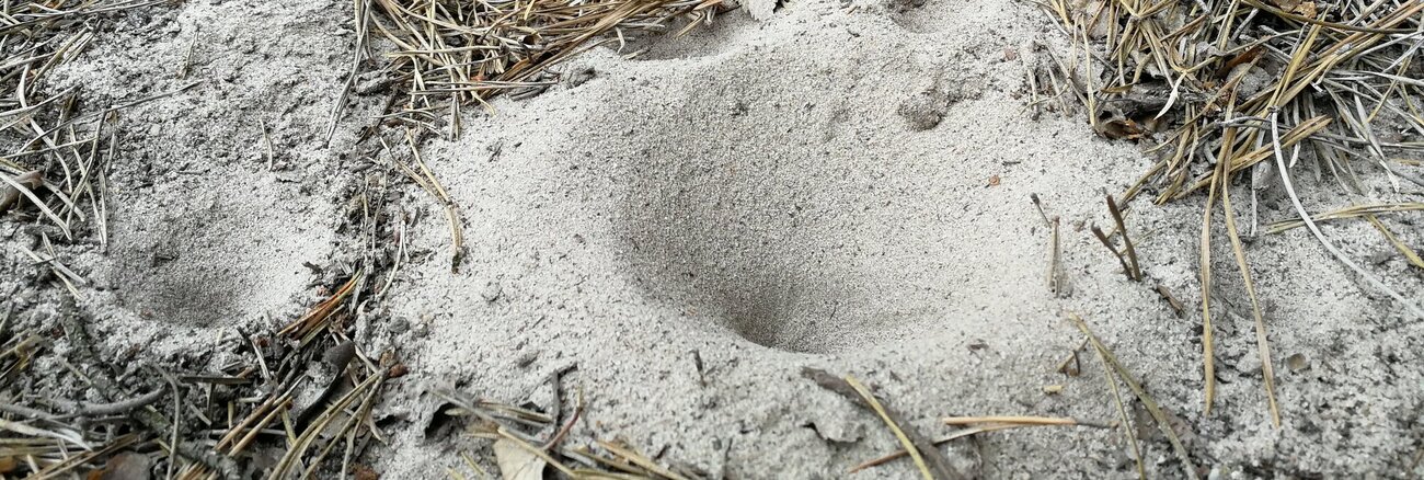 Toulání Besedickými skalami