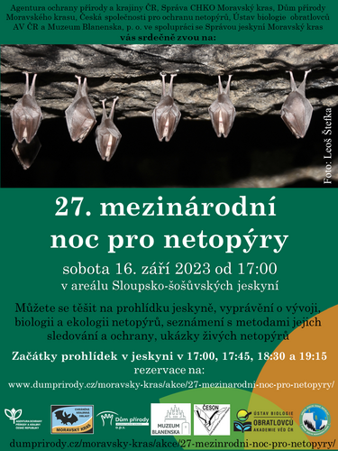 netopyri_noc