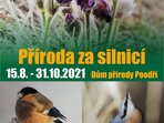 Příroda za silnicí Příroda za silnicí