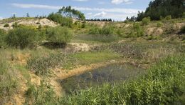 Geologie Třeboňska: speciální komentovaná prohlídka