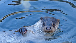 Kolem Světa za Hanzelkou