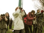 Jarní tah ptáků na Chomoutovském jezeře Jarní tah ptáků na Chomoutovském jezeře
