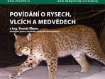 Povídání o rysech, vlcích a medvědech