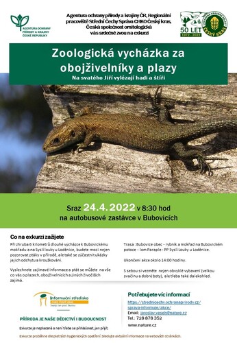 2022-04-24_Obojzivelnici