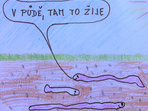 Výtvarná soutěž: V půdě, tam to žije! Výtvarná soutěž: V půdě, tam to žije!