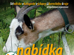 Nabídka programů 2024/2025